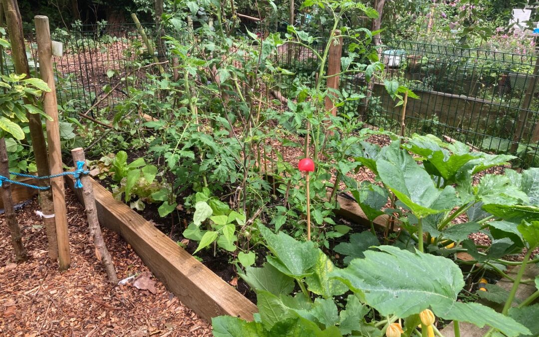 Eden Rose Coppice Trust – Case Study
