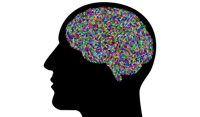 Equity - Silouette head