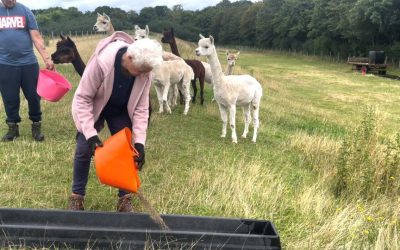 Pathways Care Farm